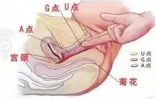 丁丁长度对女生来说重要吗?太大的烦恼你不懂……