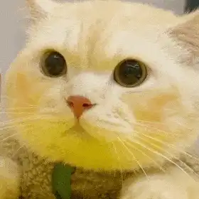 女生自慰可以gc,但是跟男人就不行怎么办?