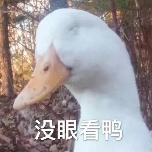 自然界性爱时长排名,人类能排第几?