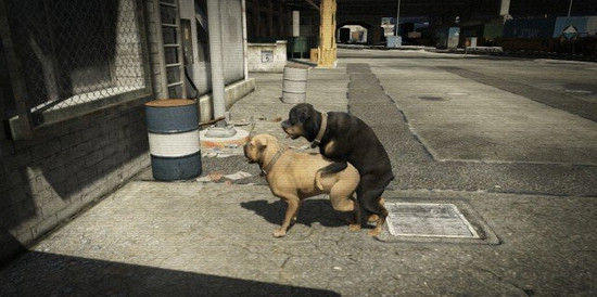 打野战到底有多爽