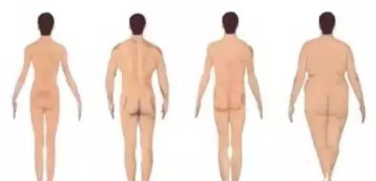 好身材和大丁丁妹子更喜欢哪一个