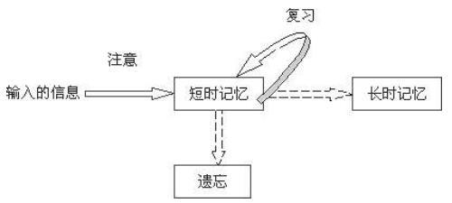 带你了解艾宾浩斯遗忘曲线