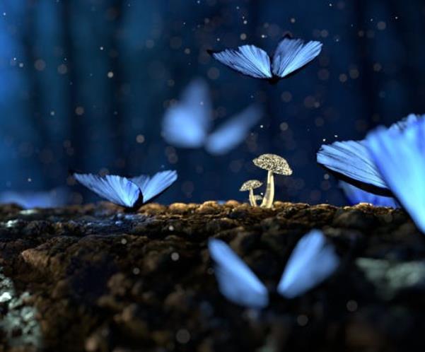 真菌恐惧症治疗方法有哪些？