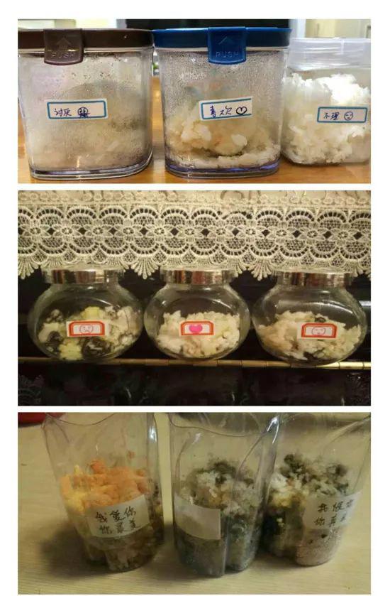 《水知道答案》意念的力量,花疗师的米饭实验