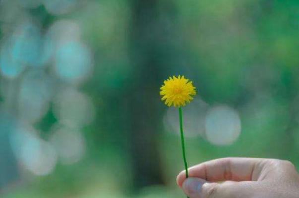 为什么你的朋友越来越少