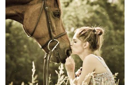 从生日看你是什么性格的动物