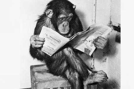 从生日看你是什么性格的动物