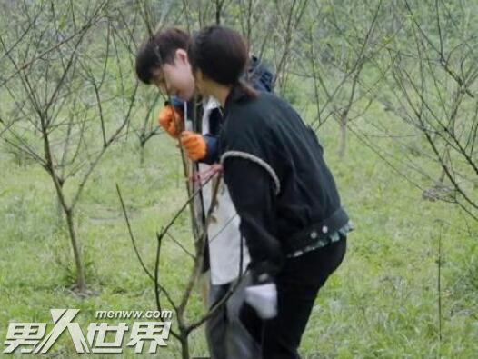 杨紫和张艺兴在一起是真的吗辟谣 虽被催婚并不真实